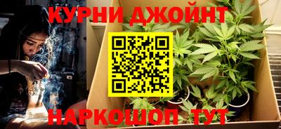 дживик Можга