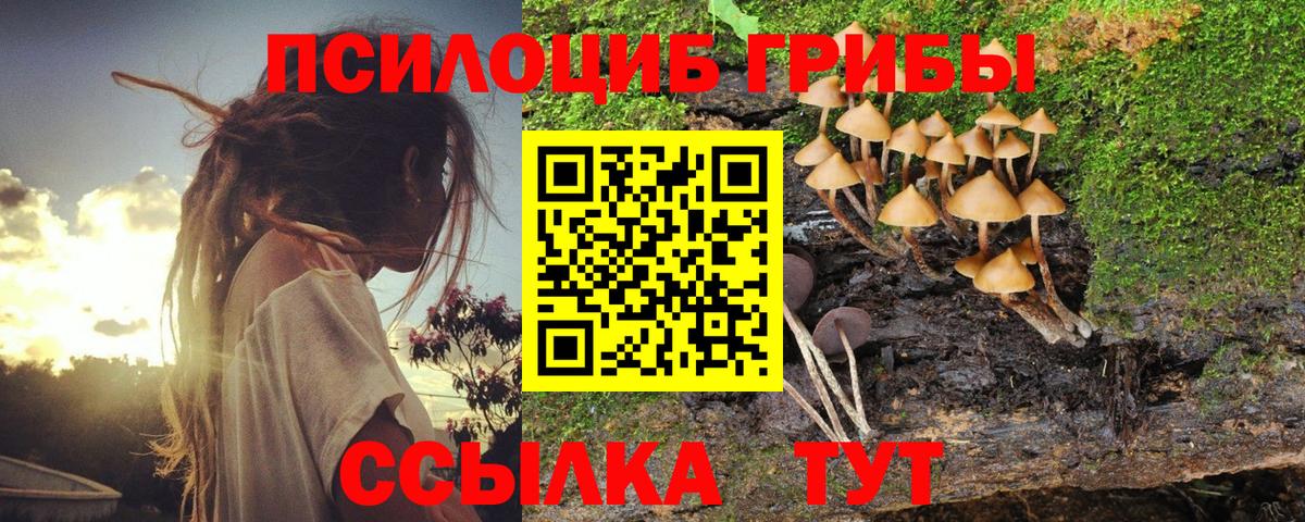 Псилоцибиновые грибы мухоморы  Вход с VPN  Электросталь 