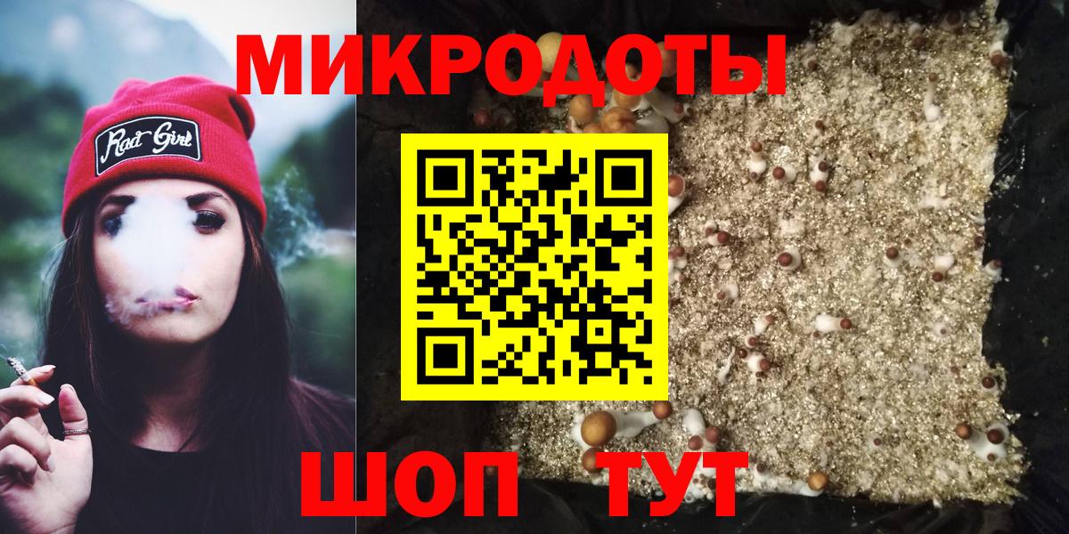 Галлюциногенные грибы Psilocybine cubensis Электросталь